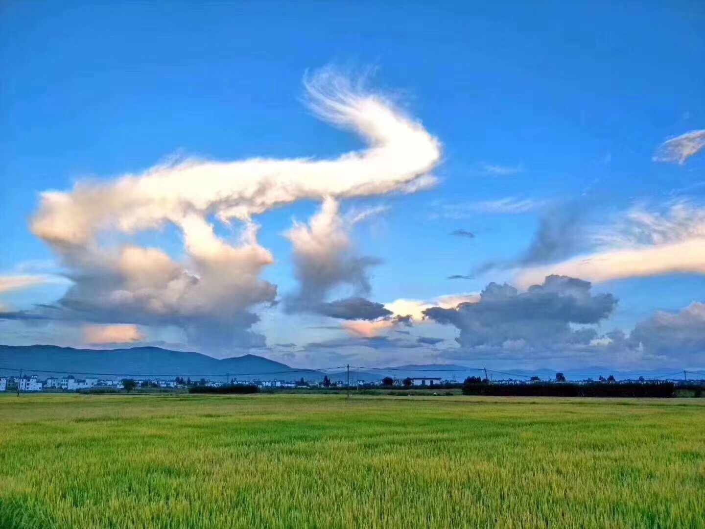 青島會(huì)議公司員工總結(jié)